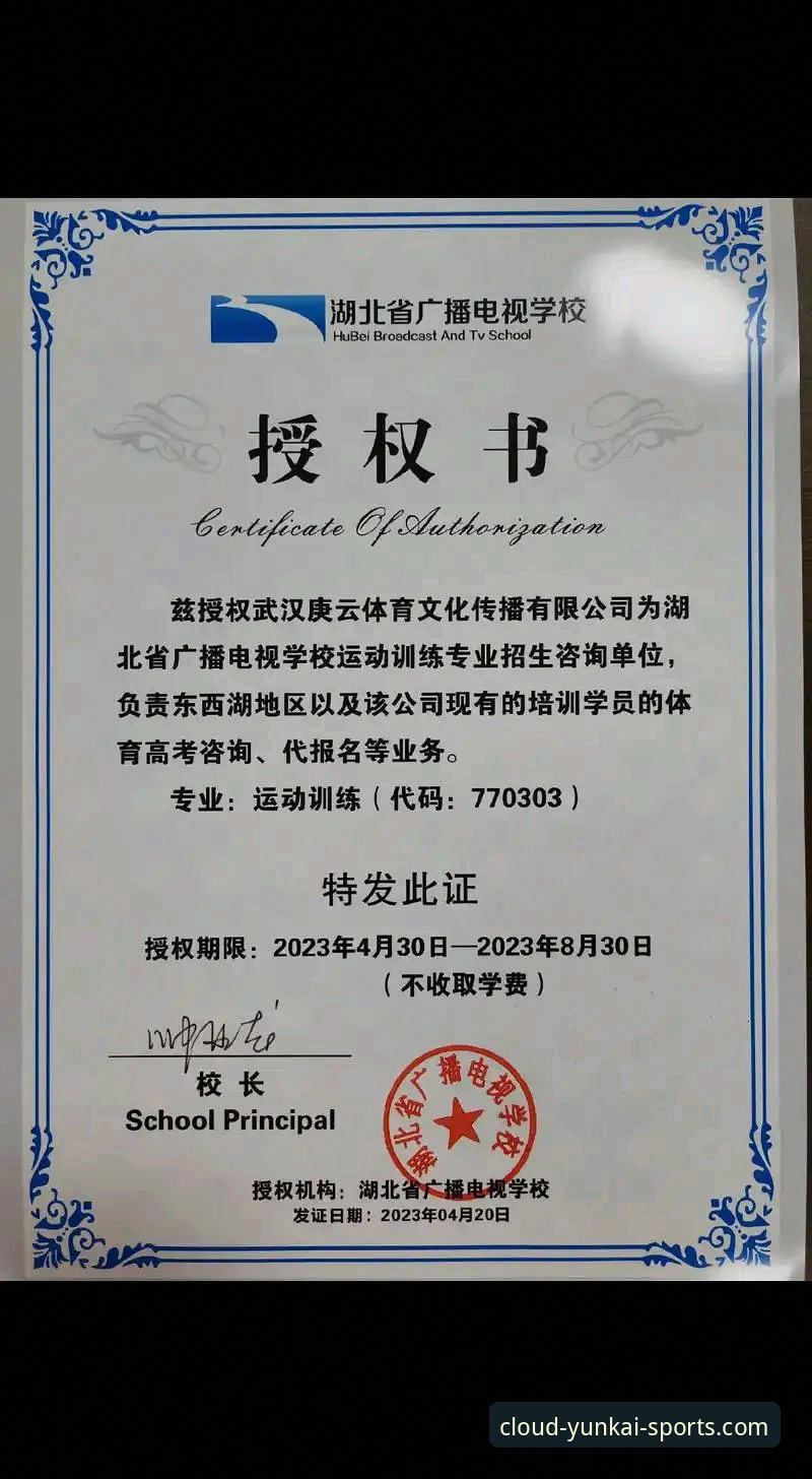 云开体育平台教程详解：从下载到使用的高效指南